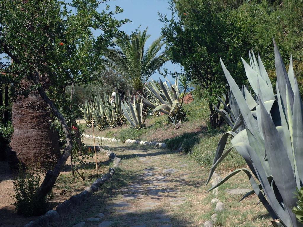 Skites Hotel Bungalows Ouranoupoli Dış mekan fotoğraf